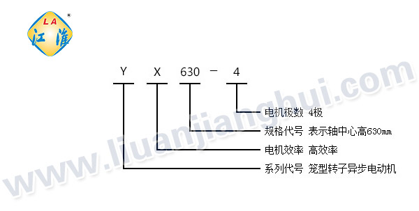 YX高效節(jié)能高壓三相異步電動機_型號意義說明_六安江淮電機有限公司