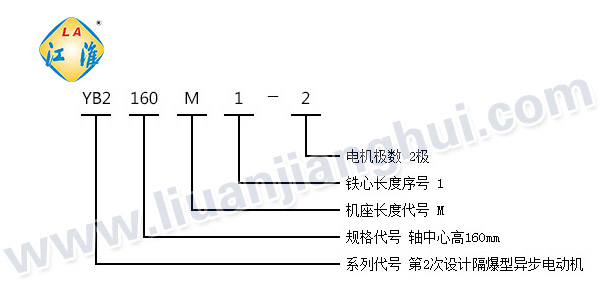 YB2高壓隔爆型三相異步電動機(jī)_型號意義說明_六安江淮電機(jī)有限公司