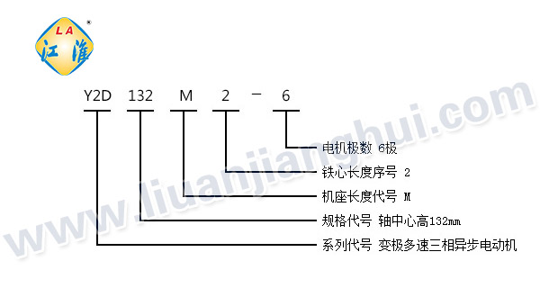 Y2D系列變極多速三相異步電動(dòng)機(jī)_型號(hào)意義說明_六安江淮電機(jī)有限公司